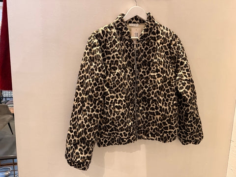 Padded Bomber Leo