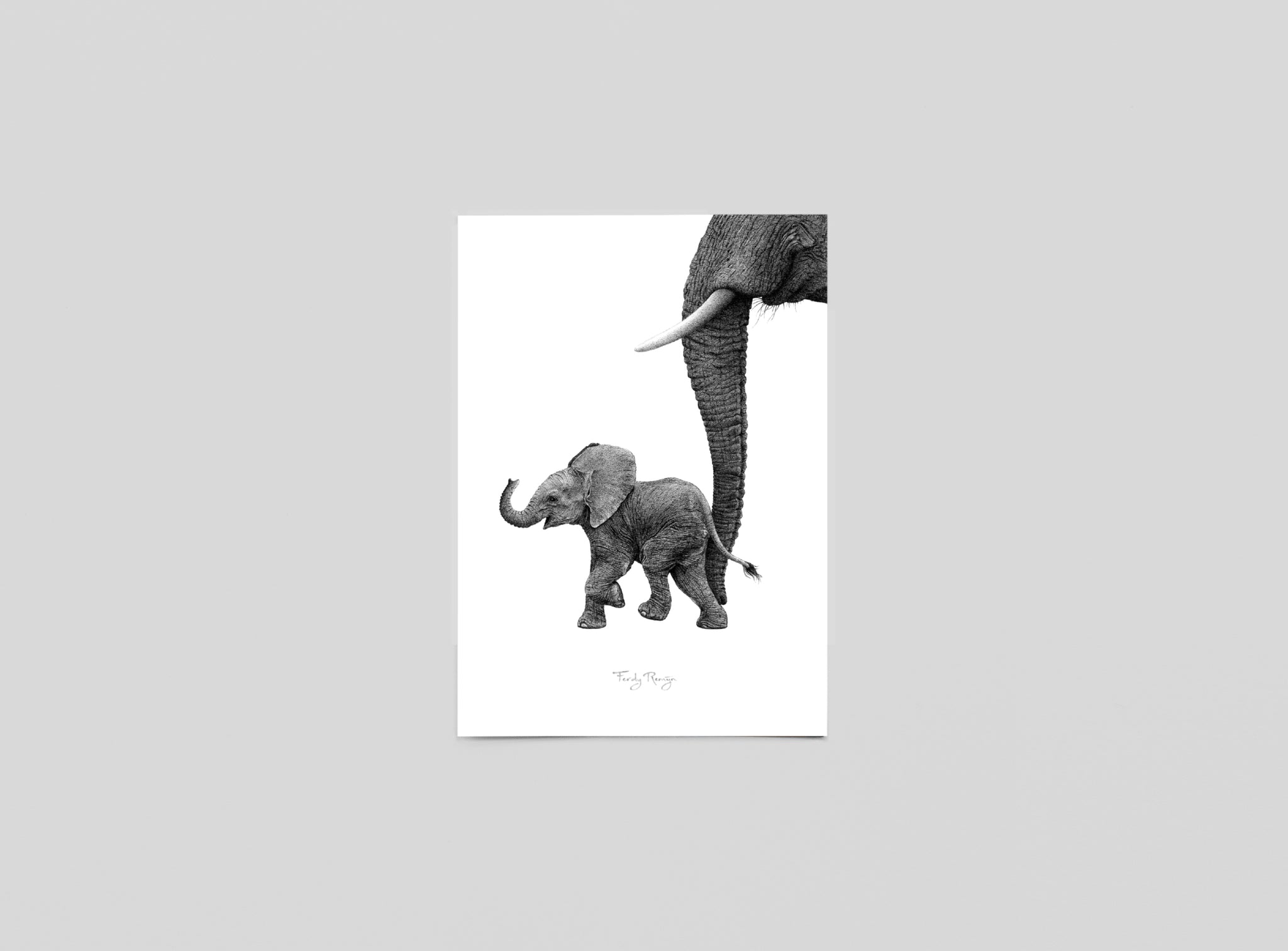 Postkaart 'Afrikaans Baby Olifantje'