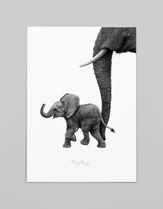 A3 Art Print 'Afrikaans Baby Olifantje'