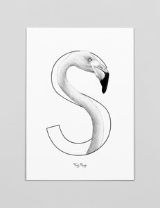 A3 Art Print 'S - Flamingo'