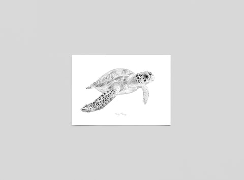 Postkaart 'Zeeschildpad'