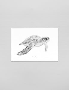 A3 Art Print 'Zeeschildpad'