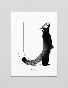 A3 Art Print 'U - Rode Panda'