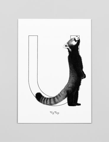 A3 Art Print 'U - Rode Panda'
