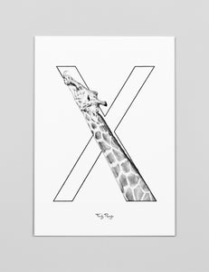A3 Art Print 'X - Giraf'